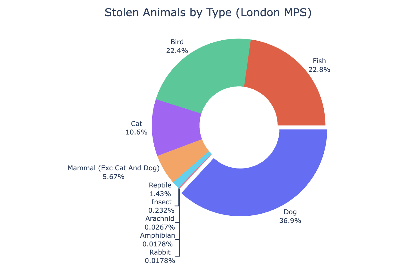 Borough-level theft heatmap